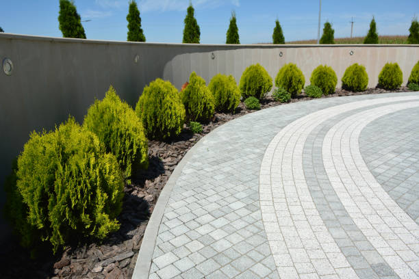 Best Interlocking Driveway Pavers  in Colon, MI