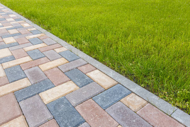 Best Driveway Paving Near Me  in Colon, MI